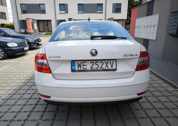 Skoda Octavia cena 49700 przebieg: 199000, rok produkcji 2019 z Rzeszów małe 407